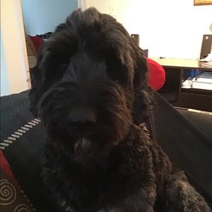 Meet your Posher, Mike